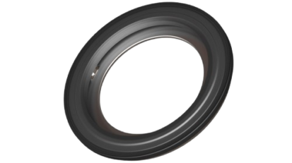 Seal Type B